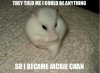 funny-pictures-animal-meme-they-told-me-i-could-anything-001.jpg