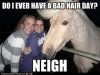 9db1d_funny-pictures-animal-memes-ridiculously-photogenic-horse-my-mane-man1_large.jpg