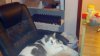2013-02-17_00-00-01_404.jpg