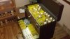 2013-02-17_00-00-30_955.jpg