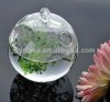 Glass Sphere Vase.jpg