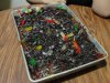 Worms_n___Dirt_Cake_by_witch13888.jpg