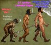evolu.jpg