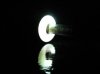 glow 3.jpg