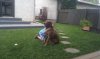 IMAG0223.jpg