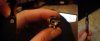 DSC01177.jpg