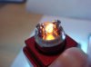 DSC04525.jpg
