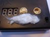 DSC04526.jpg