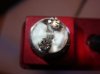 DSC04530.jpg