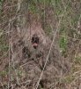ghillie-poncho-279x300.jpg