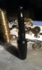 CameraZOOM-20130104154022839.jpg