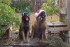 spockandtashaxmas2012.jpg