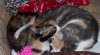 100_2342.jpg