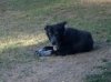 2012-05-24_18-02-35_279.jpg