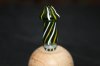 Drip Tip Mushroom.jpg