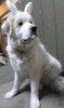 Pyr Happy Easter.jpg