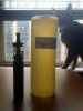 Ecto-16oz.jpg