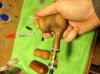 dog in hand.jpg