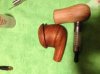 apple and walnut.jpg