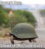 lolturtle-turtle-fight-lolmeme-fnord-funniest-....-ever-humor.jpg