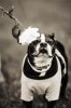 IMG_7726bw.jpg