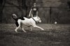 IMG_6448copybw.jpg