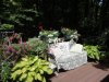 DSC01408 - Copy.jpg