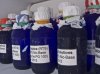 DSCN5428.jpg