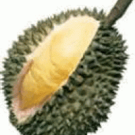 durianboy