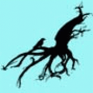 Squid & Crow