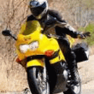 scooterholic