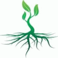 Roots820
