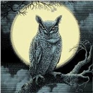 HootOwl