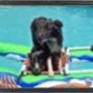 mrferrit