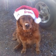 Big Red Husker