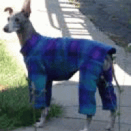 rossstang