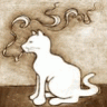angiicat
