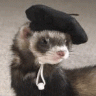 FerretGirl