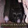 SinisterRaccoon