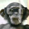 Gunnar84