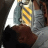 Sealander