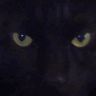 BlackMidnight