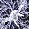 Mr_Electric