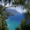 Da-Haole