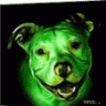 greendogz