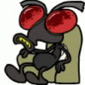 housefly