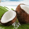 Coconut Enthusiast