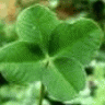Kerry66