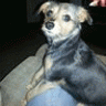 BUDDY10