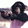 lill-monkey